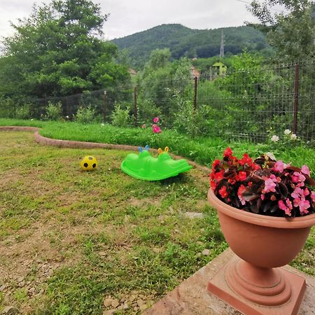 Penzion Casa Vio Nehoiu Exteriér fotografie
