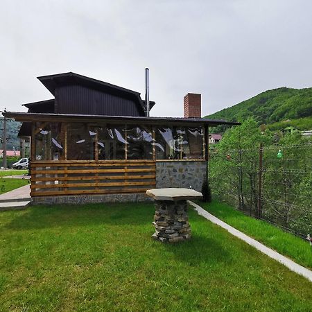 Penzion Casa Vio Nehoiu Exteriér fotografie