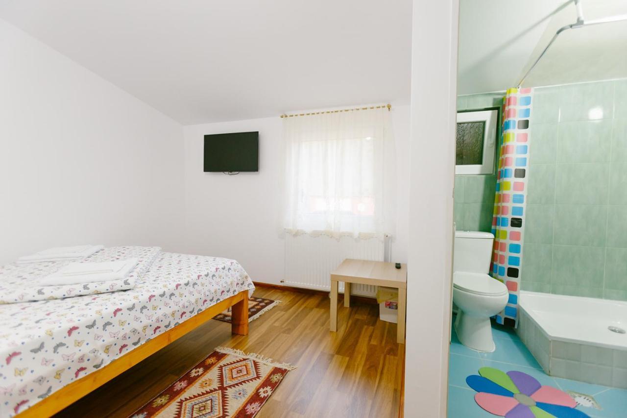 Penzion Casa Vio Nehoiu Exteriér fotografie
