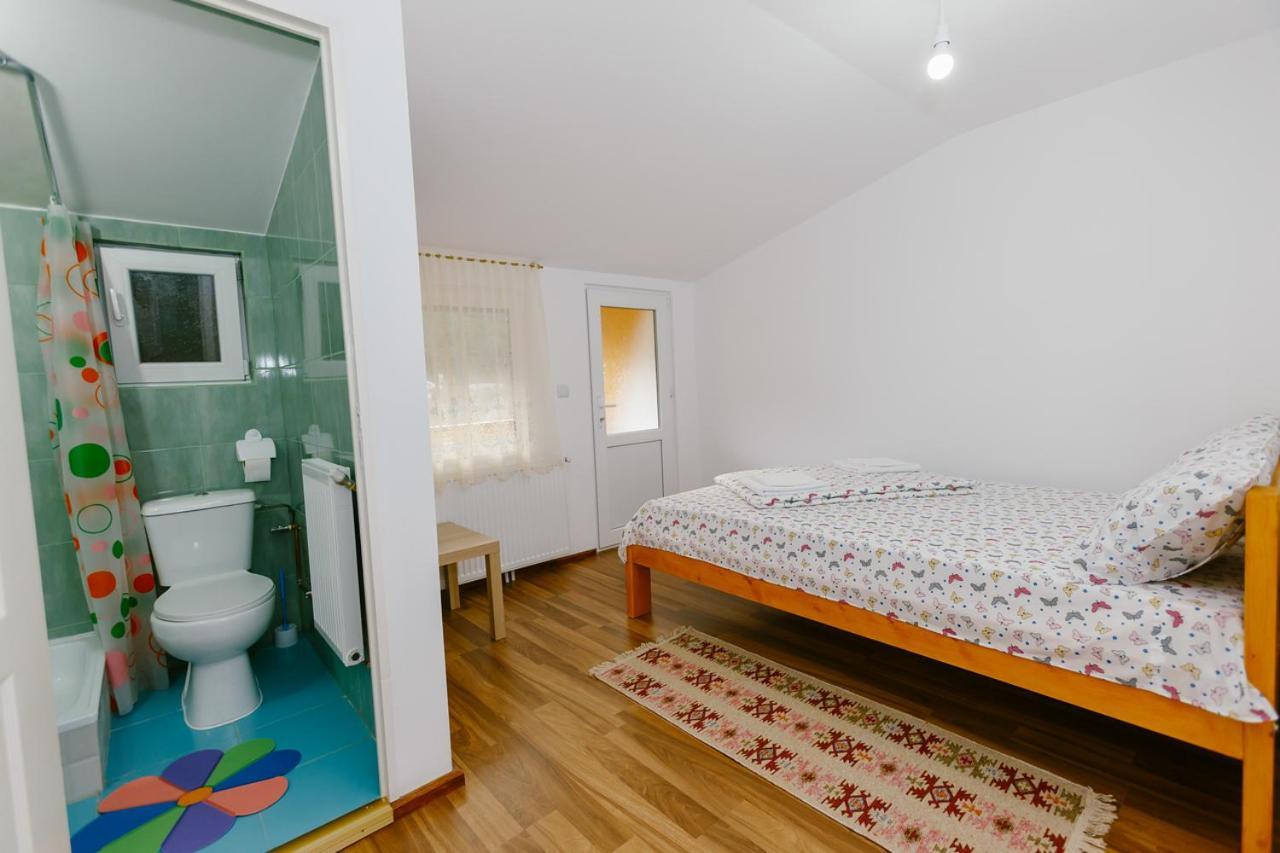 Penzion Casa Vio Nehoiu Exteriér fotografie