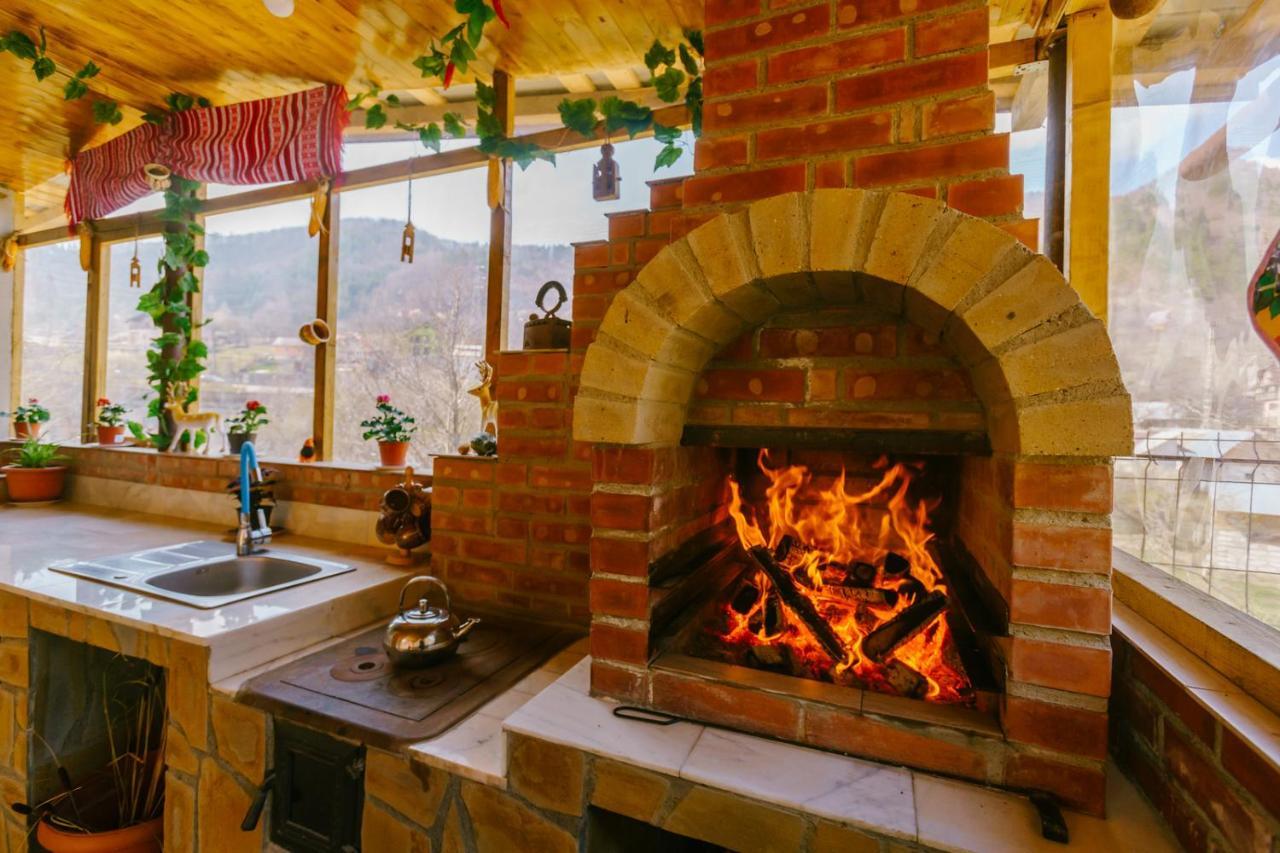 Penzion Casa Vio Nehoiu Exteriér fotografie