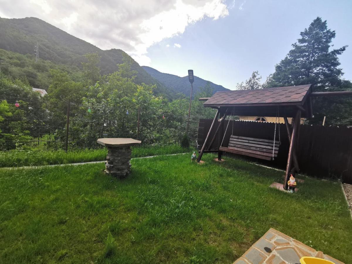 Penzion Casa Vio Nehoiu Exteriér fotografie