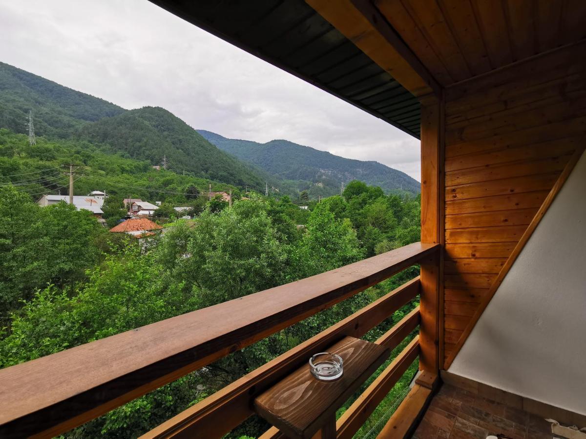 Penzion Casa Vio Nehoiu Exteriér fotografie