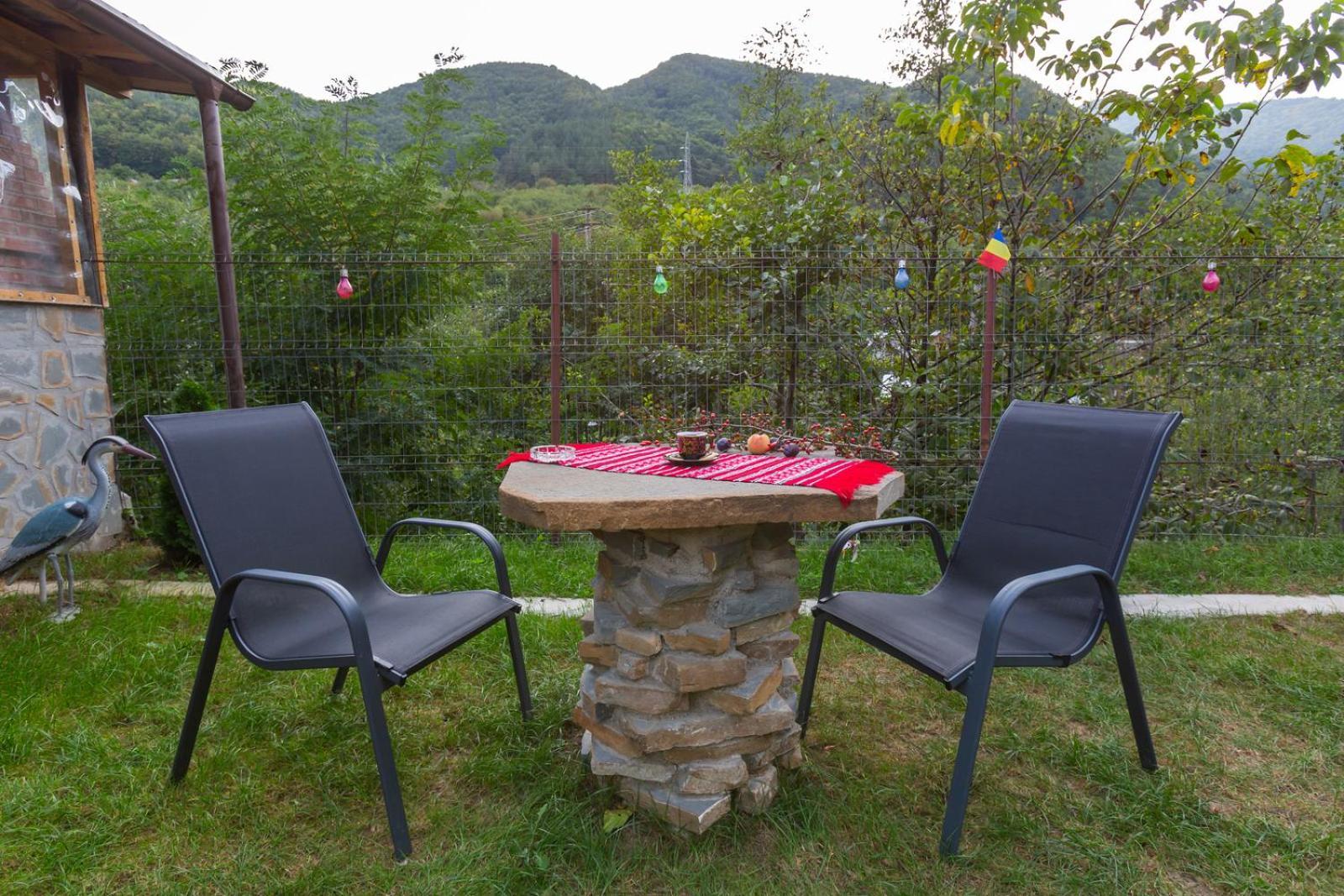Penzion Casa Vio Nehoiu Exteriér fotografie