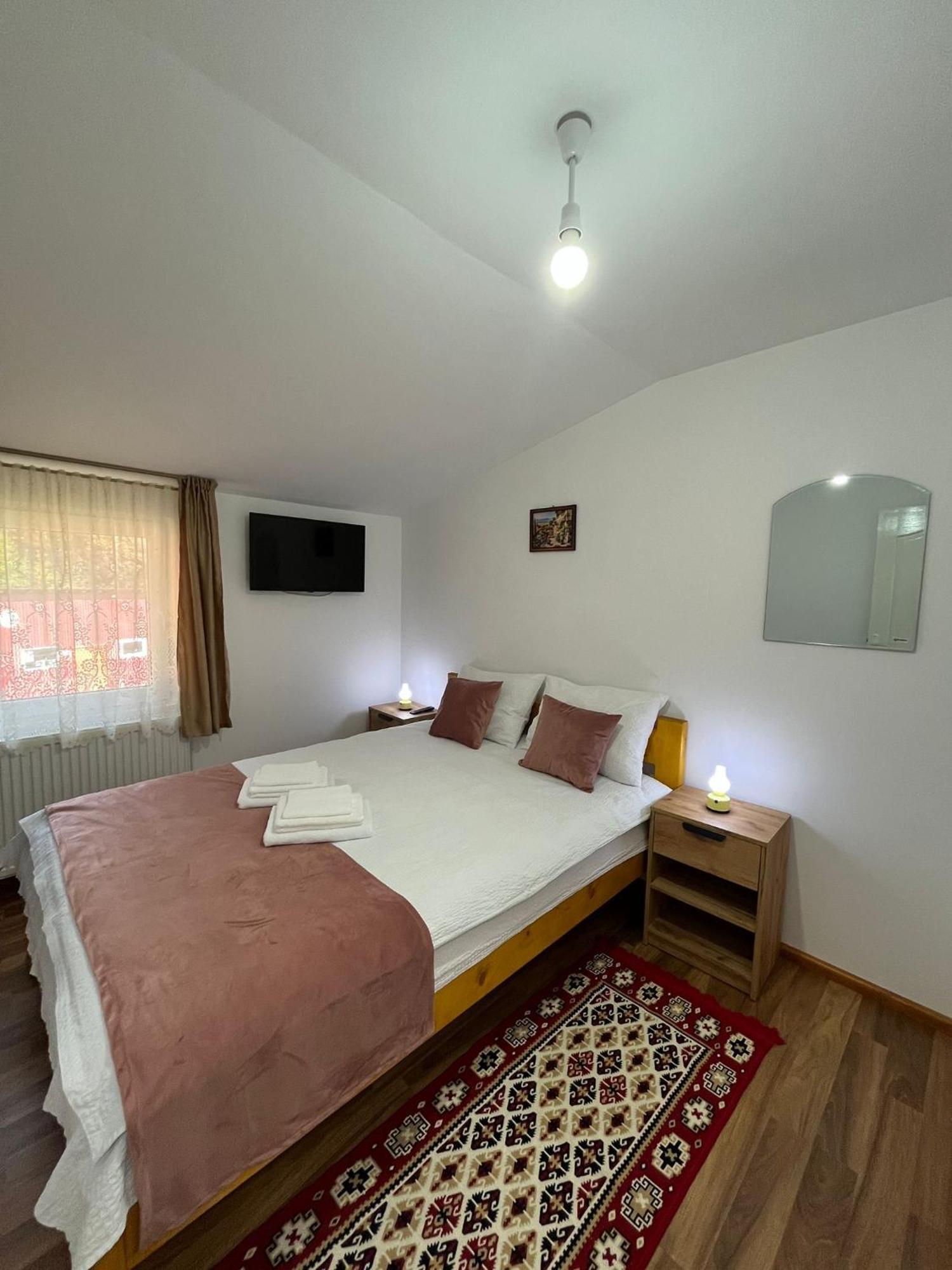 Penzion Casa Vio Nehoiu Exteriér fotografie