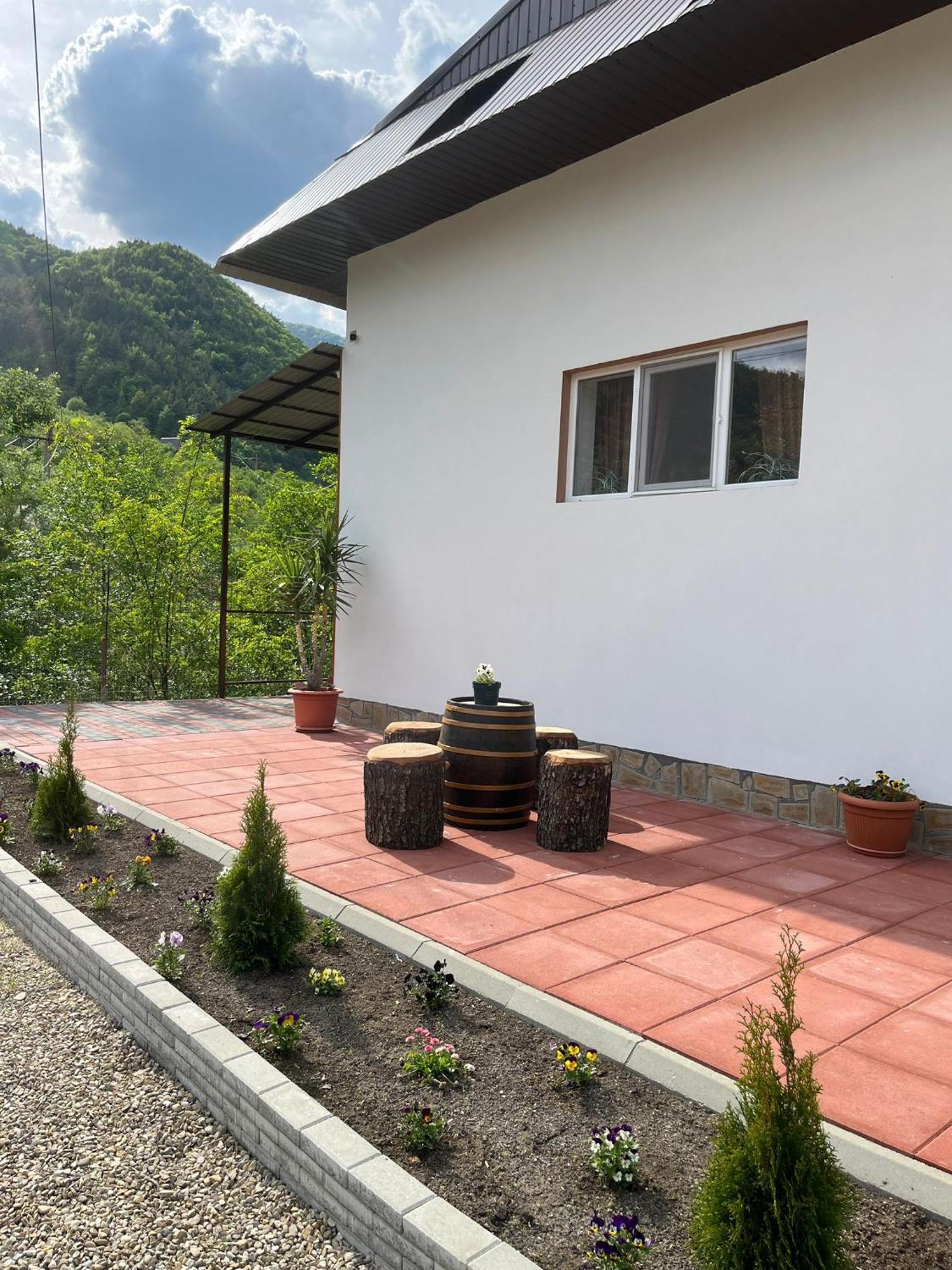 Penzion Casa Vio Nehoiu Exteriér fotografie