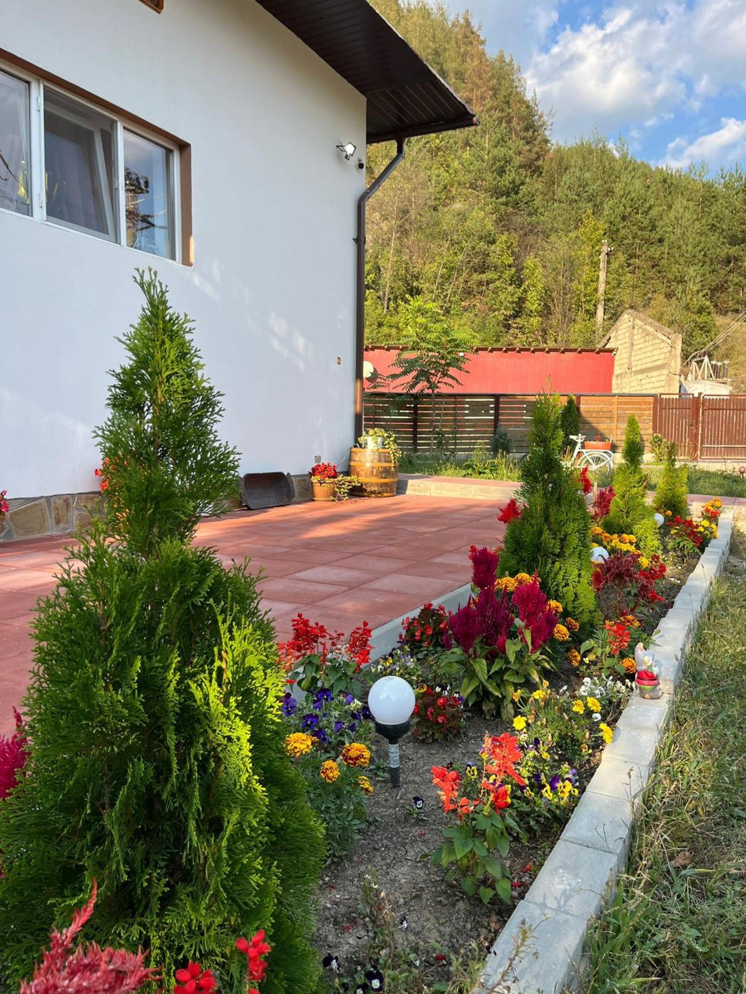 Penzion Casa Vio Nehoiu Exteriér fotografie